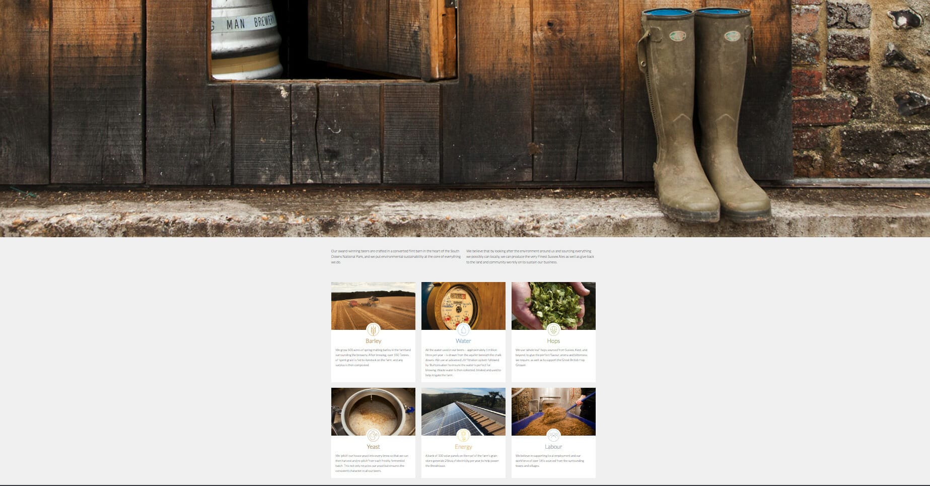 Sustainability landing page